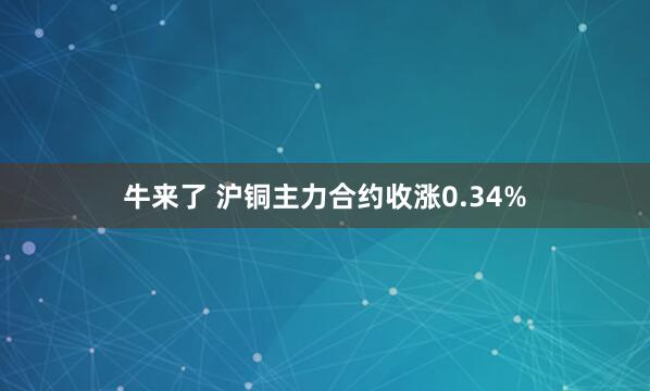 牛来了 沪铜主力合约收涨0.34%