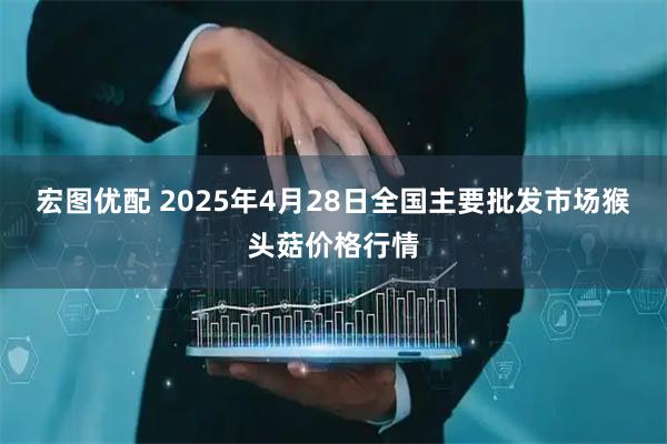宏图优配 2025年4月28日全国主要批发市场猴头菇价格行情