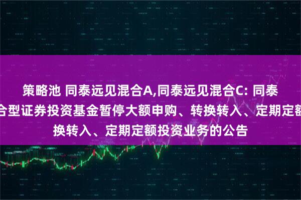 策略池 同泰远见混合A,同泰远见混合C: 同泰远见灵活配置混合型证券投资基金暂停大额申购、转换转入、定期定额投资业务的公告