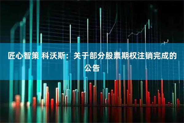 匠心智策 科沃斯：关于部分股票期权注销完成的公告