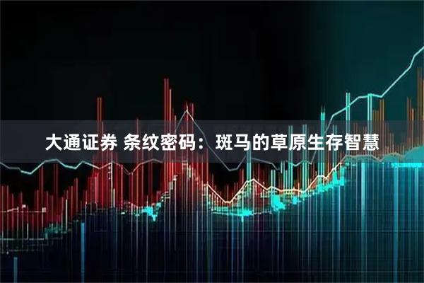 大通证券 条纹密码：斑马的草原生存智慧